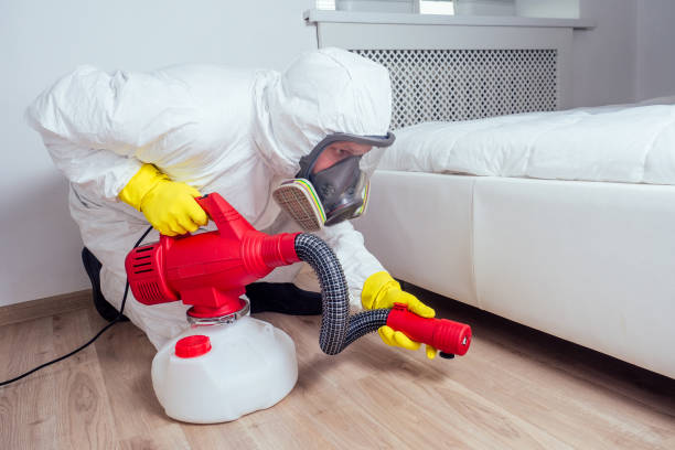 Pest Control Cost in Orlando, FL