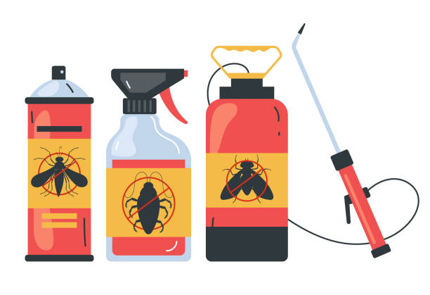 Best Local Pest Control Services  in Orlando, FL