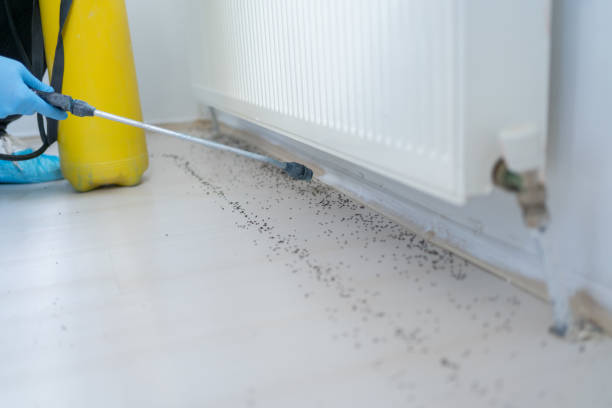 Best Bed Bug Extermination  in Orlando, FL